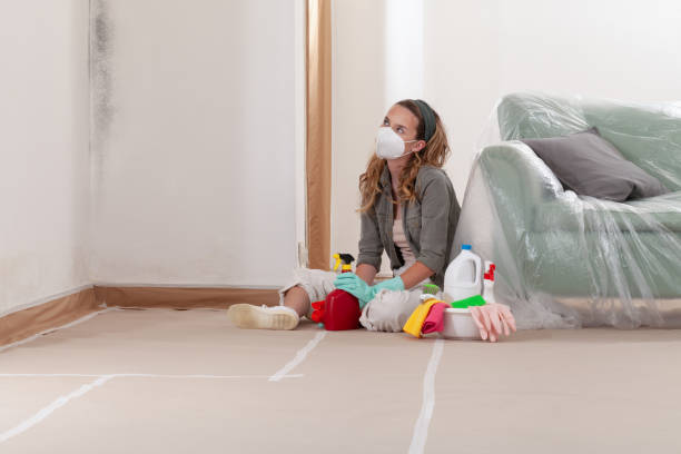 Reliable Mold Remediation contractor in Bentonville, VA by Cheap Mold Removal